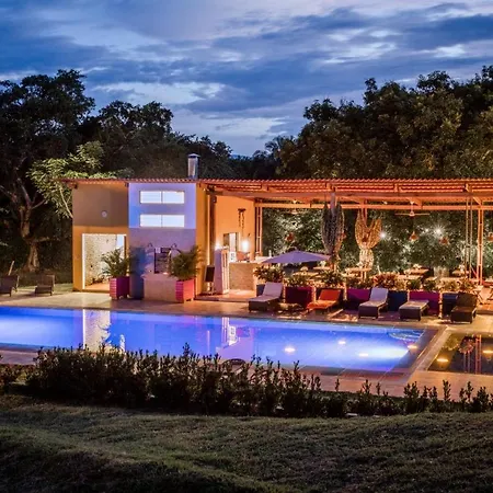Mangoo Glamping-3