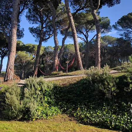 Augusta Barcelona Valles-2
