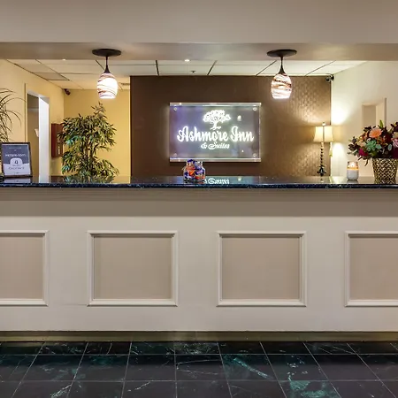 Ashmore Inn And Suites Lubbock-3
