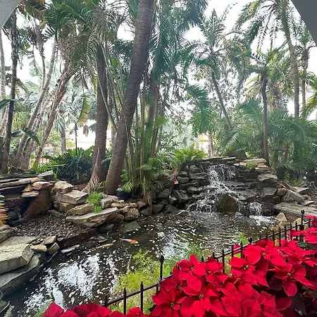 Tahitian Inn Boutique Hotel Tampa-2