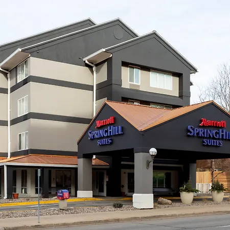 Springhill Suites Rochester Mayo Clinic Area / Saint Marys-3