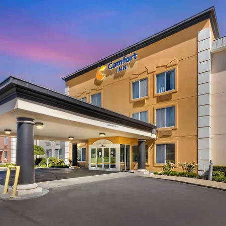 Comfort Inn Dickson-3