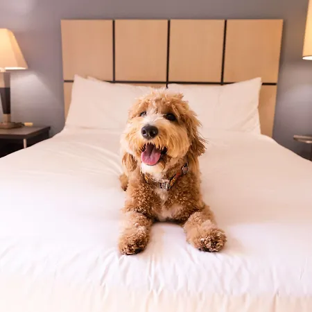 Sonesta Simply Suites Jacksonville-3