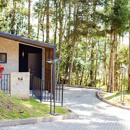 Hotel Boutique Vinícola Araucária by Slaviero Hotéis-3