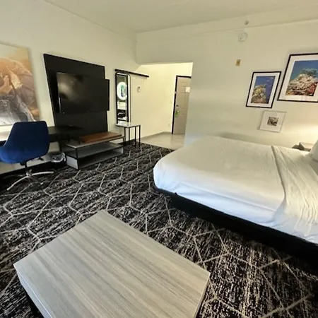 La Quinta Inn & Suites By Wyndham Houston Bush Iah South-2