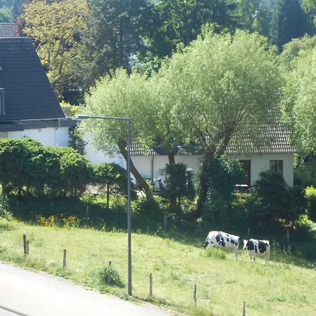 Hotel Buschhausen-3