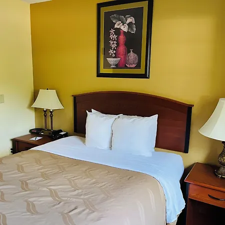 Quality Inn & Suites Prestonsburg Next To Mountain Arts Center-3