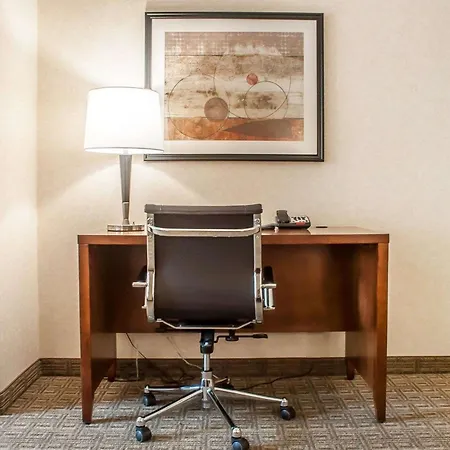 Comfort Inn & Suites Hamburg - Buffalo South-3