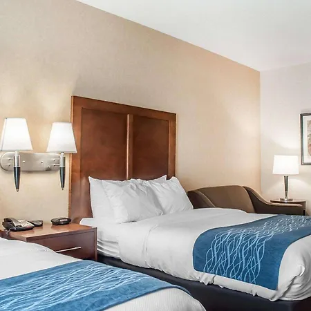 Comfort Inn & Suites Hamburg - Buffalo South-3