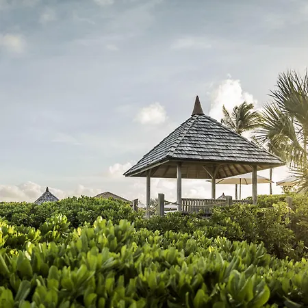 Como Parrot Cay-3
