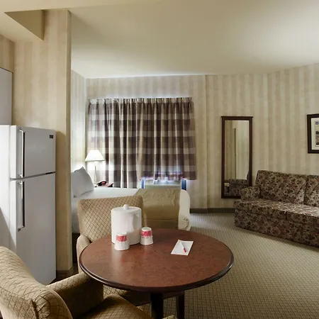Ramada By Wyndham St. John'S-3