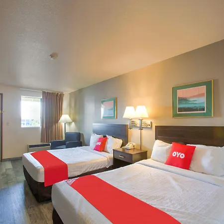 Oyo Woodland Hotel And Suites-2