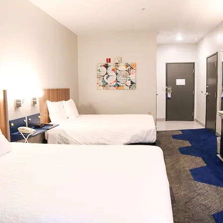 Microtel Inn & Suites By Wyndham Charlotte/Northlake-3