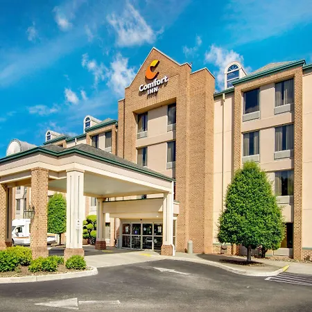 Comfort Inn Airport-3