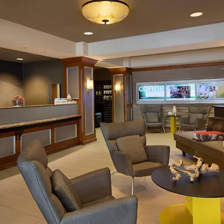 Springhill Suites By Marriott Tampa Westshore Airport-2