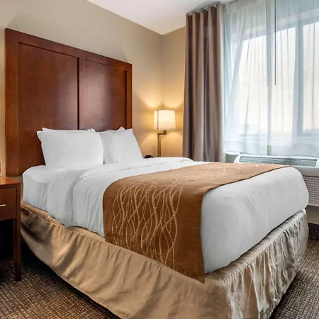Comfort Inn & Suites South Hill I-85-3