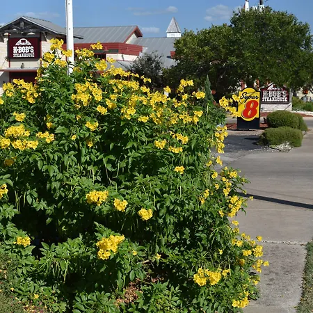 Super 8 By Wyndham Fredericksburg-2