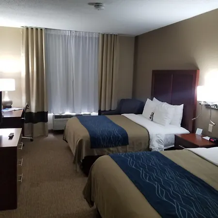 Comfort Inn & Suites St Louis-O'Fallon-3