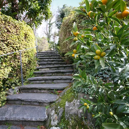 Hotel Collinetta-3