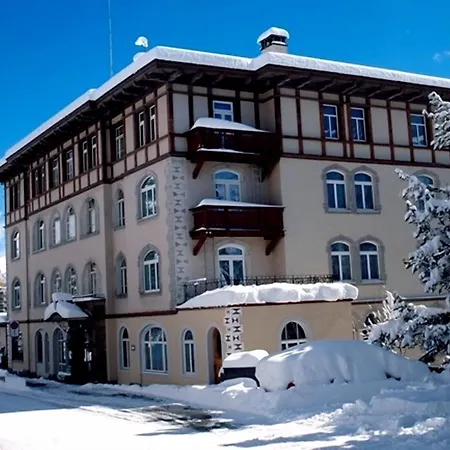 Soldanella-3