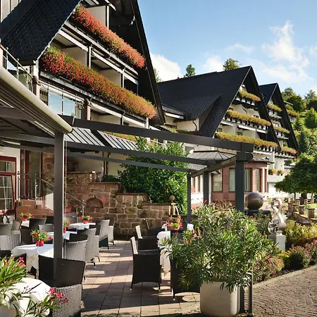 Hotel Dollenberg-2