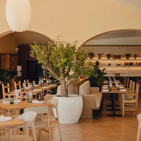 Aethos Hotel Sardinia-3