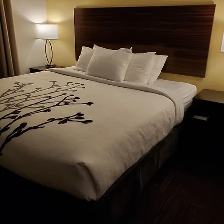 Sleep Inn & Suites Wisconsin Rapids-2