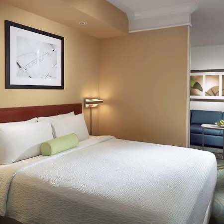 Springhill Suites By Marriott Atlanta Buckhead-3