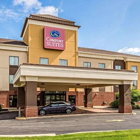 Comfort Suites Fairview Heights Saint Louis-2