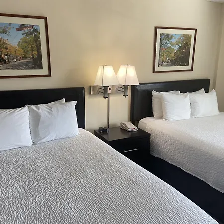 University Inn Duke-3