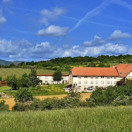 Hôtel du Bollenberg Cit'Hotel - Restaurant Côté Plaine - Spa de la Colline-3