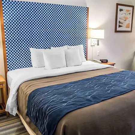 Spark By Hilton Savannah Airport-2