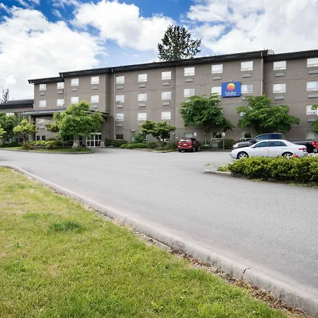 Comfort Inn & Suites-3