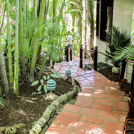 Hotel Villas Lirio-3