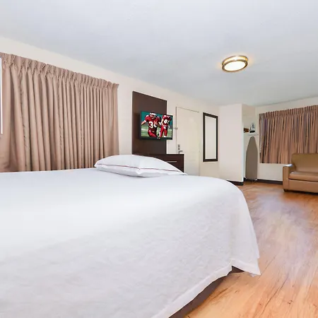 Red Roof Inn Plus+ & Suites Guilford-3