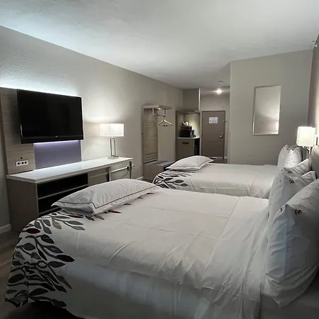 Comfort Inn San Antonio Northeast-3