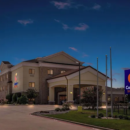 Comfort Suites Lindale-3