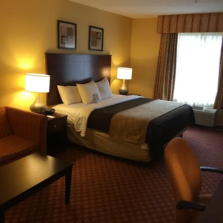 Comfort Inn Naugatuck-Shelton, Ct-3