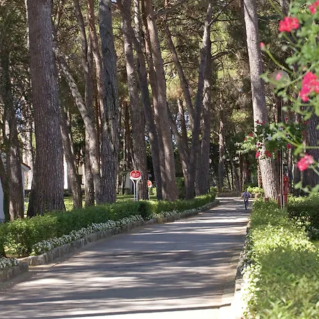 Village Galijot Plava Laguna-2