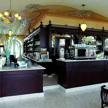 Hotel Lugana Parco Al Lago-2