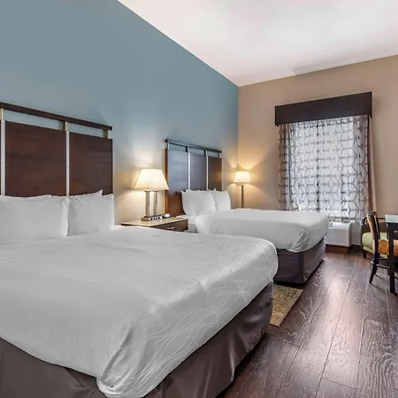 Best Western Plus Bradenton Gateway Hotel-3