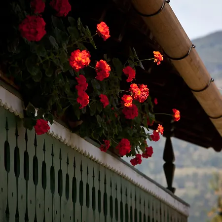 Hotel Gasthof Mitteregger -Best Place In Town With Summercard And Breakfast-2