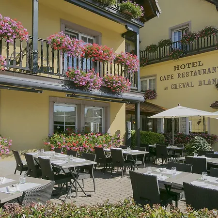 Best Western Plus Au cheval Blanc à Mulhouse-2