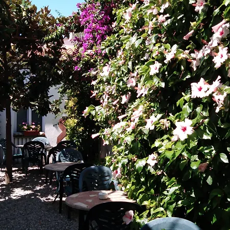 Hotel Mitus-2