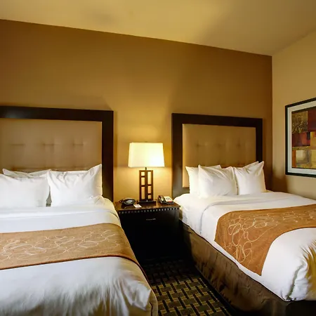 Comfort Suites Buda - Austin South-2