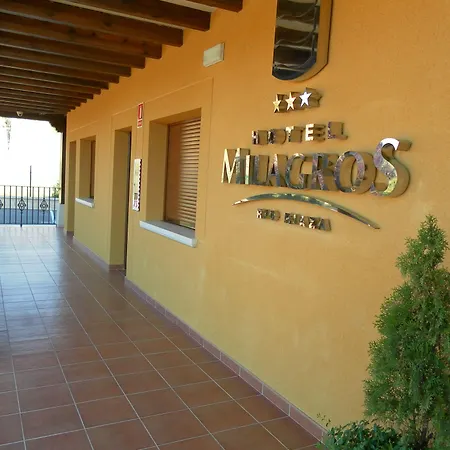 Hotel Milagros Rio Riaza-2