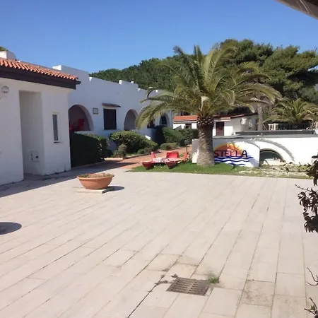 Estella Club-3