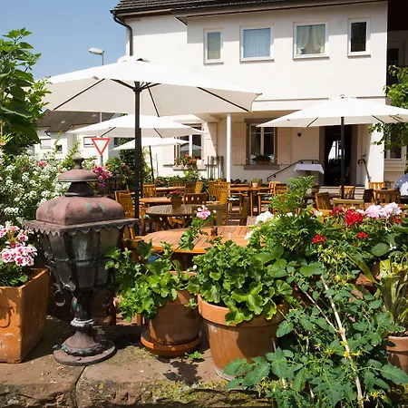 Hotel Hirsch-2