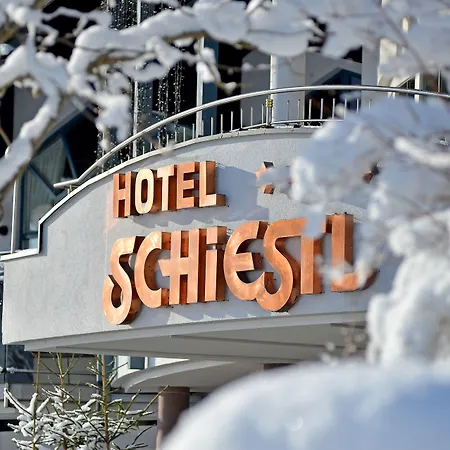Wohlfühlhotel Schiestl-3