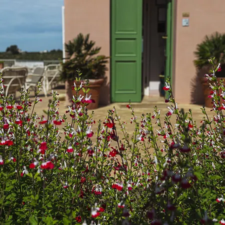 La Foresteria Planeta Wine Resort & Beach Club-2